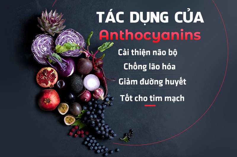 Nghiên cứu về một số thực phẩm màu đen cho thấy chúng chứa chất anthocyanin tạo ra màu đen, giúp loại bỏ các gốc tự do trong cơ thể, hạ huyết áp, chống khối u, làm đẹp và hỗ trợ chức năng tình dục. 
