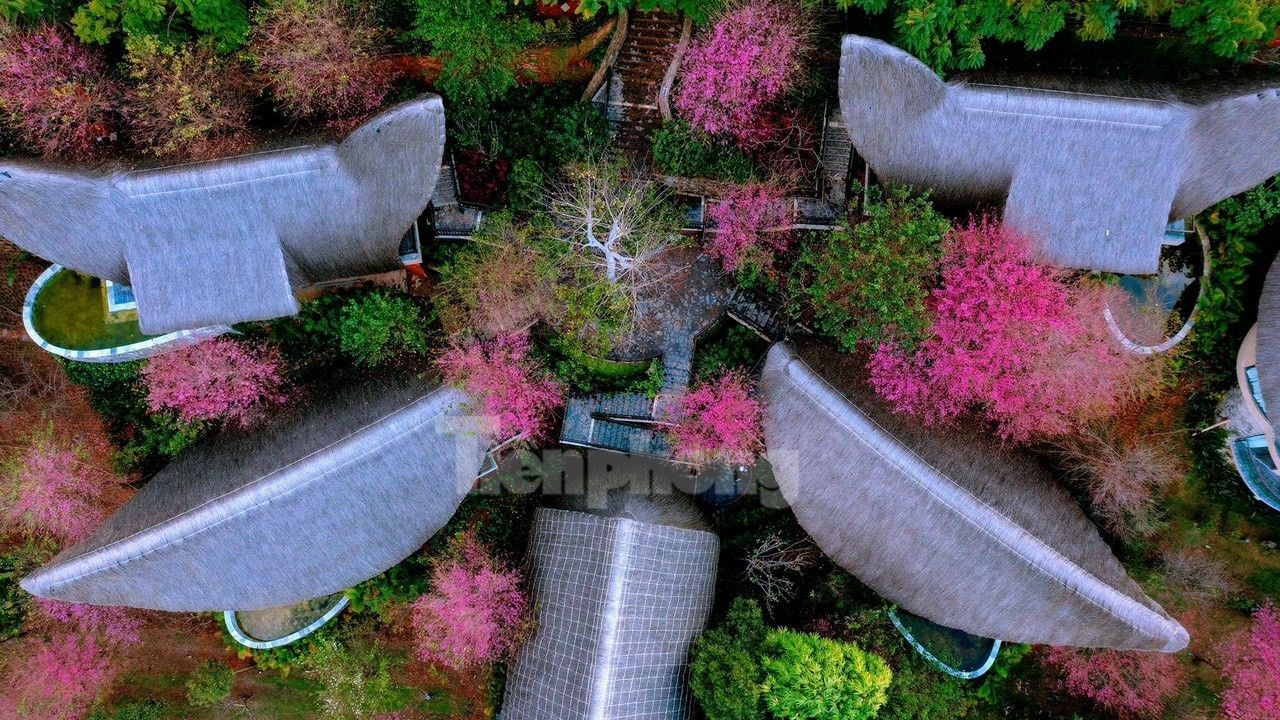 Tạo thành bức tranh thiên nhiên kỳ ảo thu hút hàng trăm nghìn lượt du khách đến tham quan, chiêm ngưỡng.