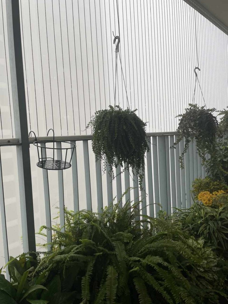 Hà Nội mù mịt trong lớp sương mù giăng dày đặc, mờ ảo như Sa Pa: 8 giờ sáng vẫn phải bật đèn khi đi xe trên đường - 2