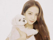 Lifestyle - Thú cưng của Jisoo (BLACKPINK) đẳng cấp cỡ nào?