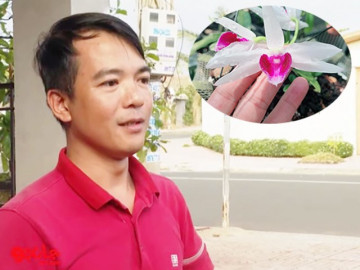 Đại gia Bình Phước sở hữu vườn cây cảnh quý, từng mất cây lan trị giá 10 tỷ đồng nhưng chỉ thấy bình thường