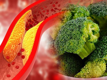 Ăn rau gì giảm mỡ máu? Những loại rau giúp bạn tránh khỏi tình trạng máu trắng như sữa