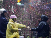 Tin tức - Tin tức 24h: 2 đợt không khí lạnh liên tiếp dồn xuống trước Tết Nguyên đán, miền Bắc mưa rét cỡ nào?