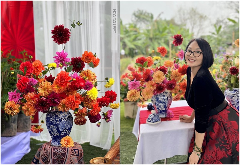 Hoa thược dược là một trong những hình ảnh đẹp, dễ gợi nhớ hình ảnh, không khí Tết xưa, nên mới có câu “thấy thược dược là thấy Tết”. Cũng chính vì thế mà chị Mai Linh (46 tuổi, ở Hà Nội) đã “lỡ” say đắm loài hoa này.

