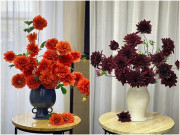 Nhà đẹp - Mẹ đảm Hà Nội chia sẻ bí quyết cắm hoa thược dược ngày Tết đơn giản mà đẹp, tươi cả tuần