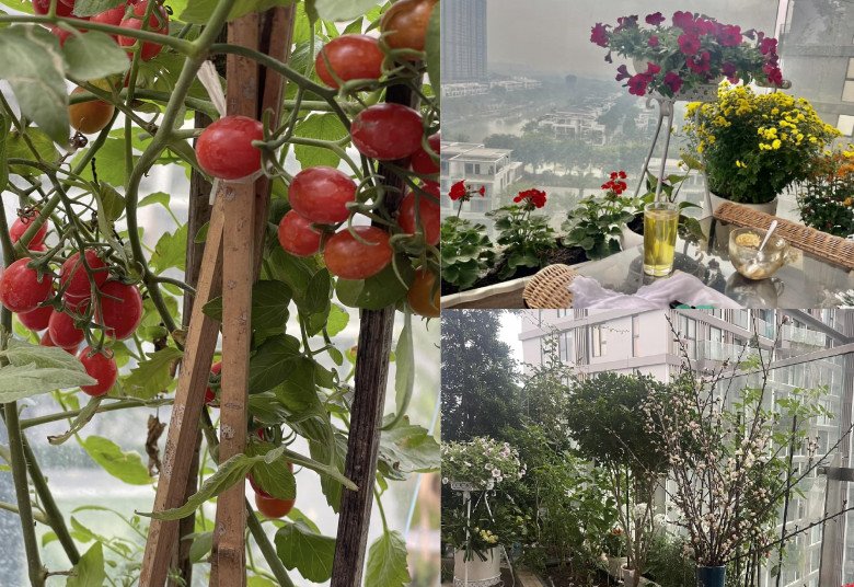 Là người yêu thích và mong muốn sống hòa mình với thiên nhiên, dù ở đâu, bác sĩ Dung luôn tự tay trồng hoa, trồng cây và lấy đó làm niềm vui, giảm tải những áp lực cuộc sống. 