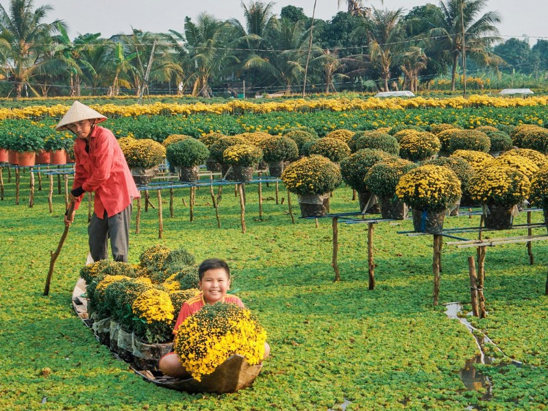 Hồng tiểu muội 35.000 đồng/chậu, cúc đồng tiền 60.000 đồng/chậu, vạn thọ 50.000 đồng/chậu, tiger 40.000 đồng/chậu. (Ảnh: Võ Minh Thiên)
