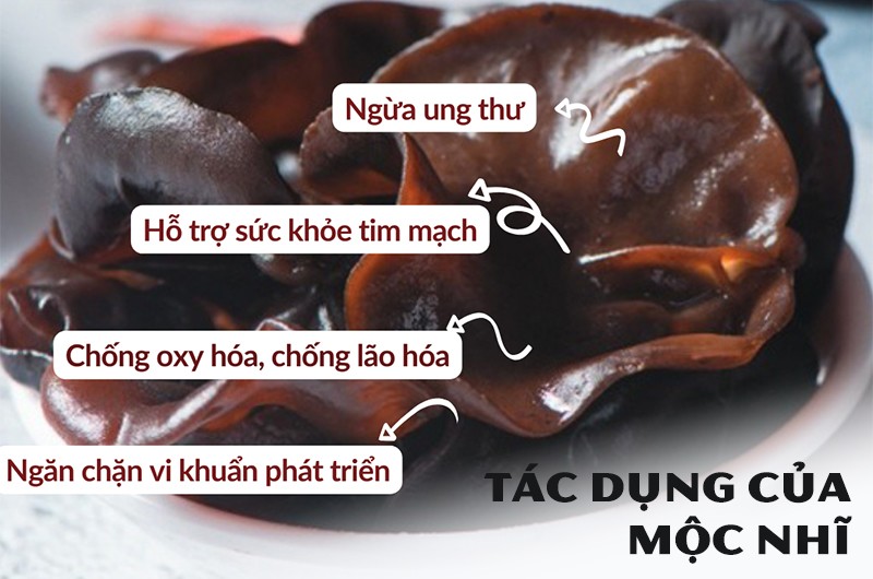 Theo Đông y, mộc nhĩ có tính ôn, vị ngọt, có tác dụng bổ khí, bồi bổ cơ thể, kích thích tuần hoàn máu và giảm đau. Ngoài ra, nó chứa chất cản trở quá trình đông máu nên giúp giảm huyết khối, ngừa xơ vữa động mạch, phòng bệnh tim mạch. 
