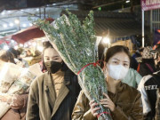 Lifestyle - Chợ hoa Quảng An nhộn nhịp ngày Tết, tiểu thương trưng dụng gara ôtô làm nơi buôn bán