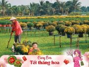 Lifestyle - Ngỡ ngàng ngắm khung cảnh "đẹp nín thở" tại vựa hoa lớn nhất miền Nam