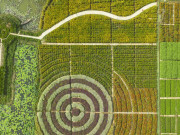 Lifestyle - Nhiều điểm check in cực "hot" ở Tiền Giang đón khách dịp tết