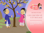 Nuôi con IQ EQ - Truyện cổ tích: Sự tích cây hoa Mai vàng ngày Tết
