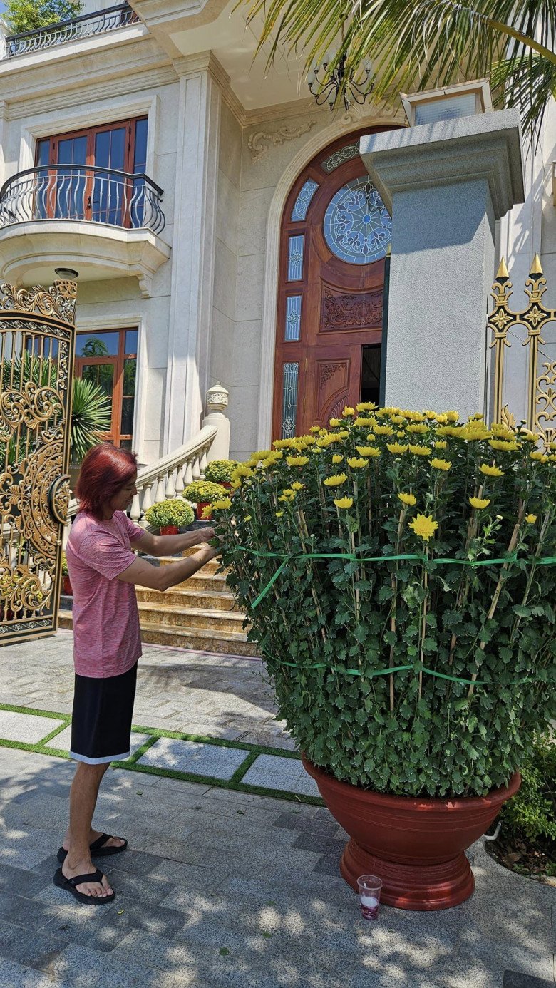 Dịp Tết Nguyên đán Giáp Thìn 2024, vợ chồng Việt Hương đã mua những chậu cúc lớn để trang trí từ cổng vào. Nhìn những cây cúc cao hơn cả ông xã cao ráo của Việt Hương mà mọi người phải thích thú.