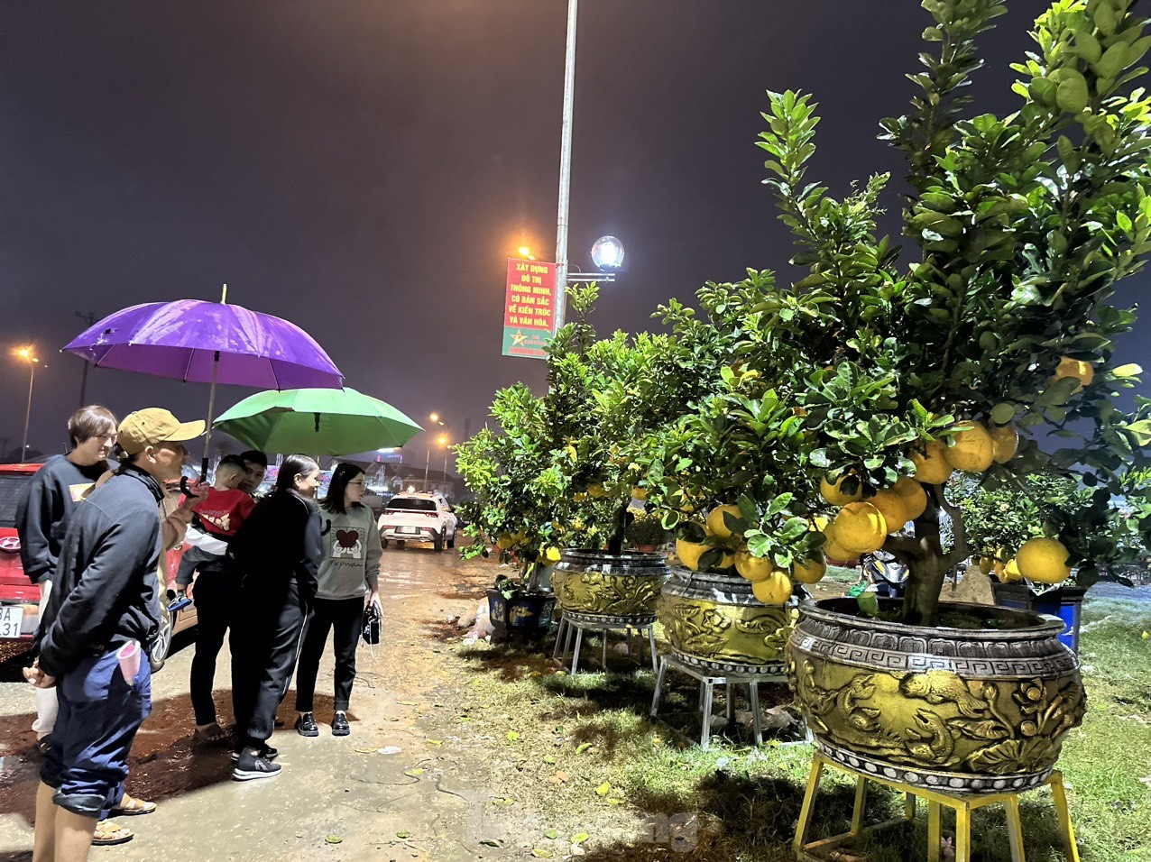Trong đêm, một số khách đến để xem bưởi cảnh về trưng tại nhà...