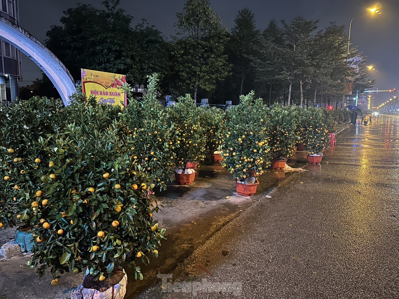 Đêm 29 Tết, con đường Xô Viết Nghệ Tĩnh (thành phố Hà Tĩnh) vẫn ngập tràn hoa, quất ở hai bên lề đường.