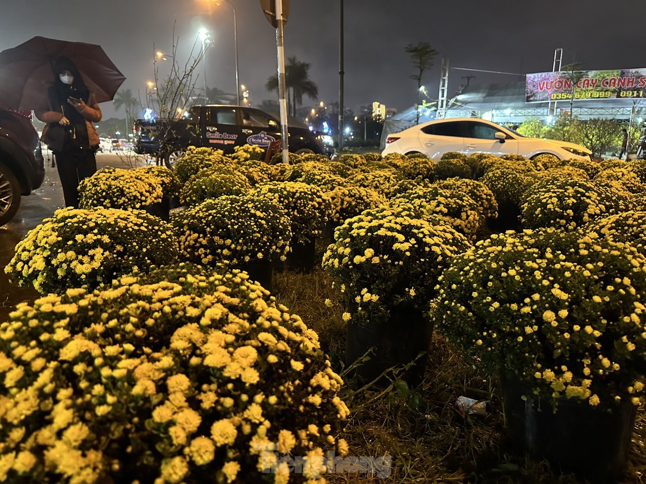 Hoa cúc, đào nở rực đón Tết nhưng vắng khách mua dù đã cận kề Tết.