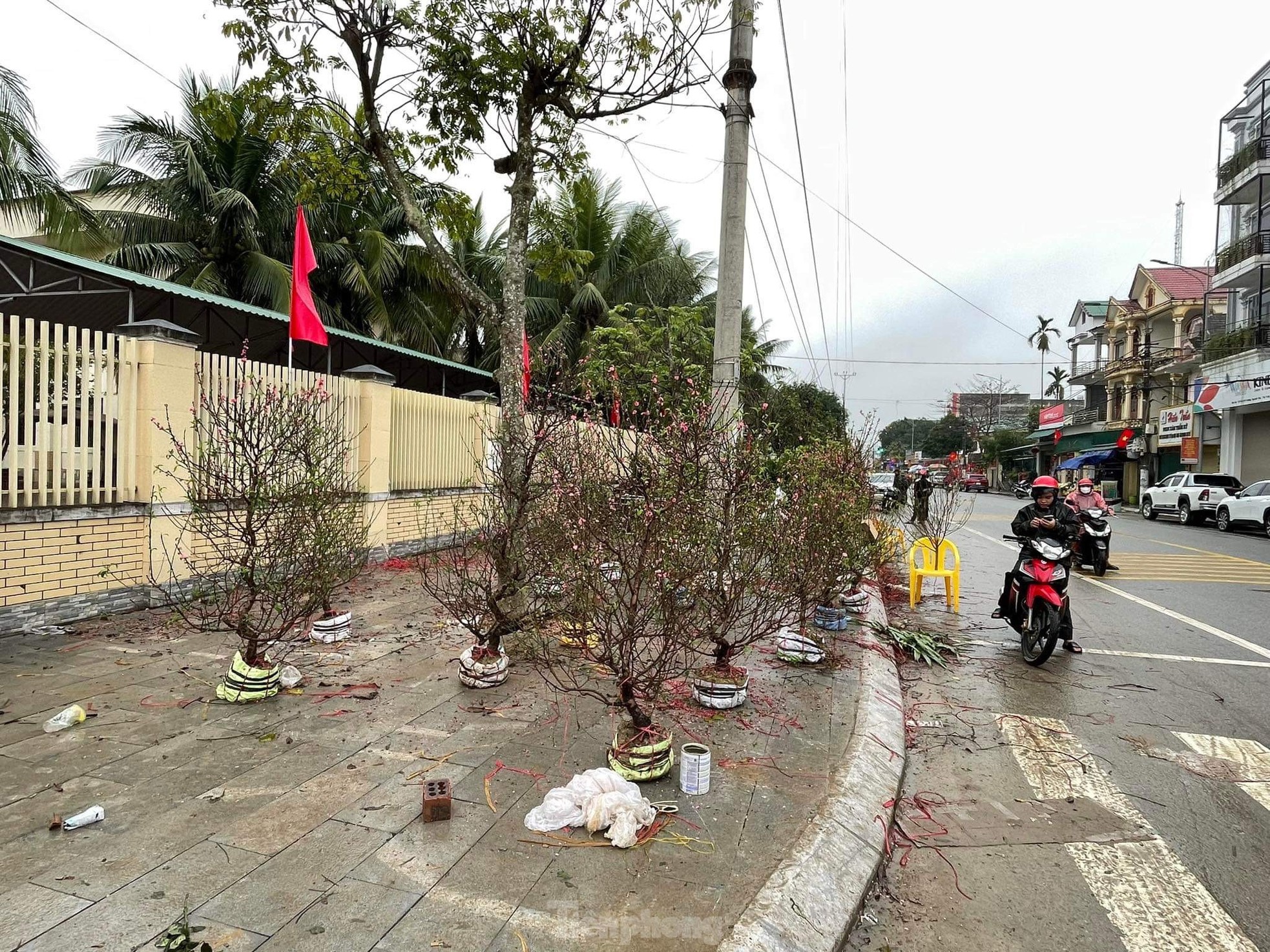 Năm nay giá bán rẻ hơn, từ 28 Tết chúng tôi phải xả hàng, nhưng vẫn không có người mua. Giờ còn một ít gốc, tôi đang gắng gượng bán đến chiều 30 Tết mới về nhà sắm sửa đón Giao thừa cùng gia đình, một tiểu thương bán đào tại thị trấn Phố Châu, huyện Hương Sơn nói.