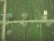 Clip Eva - Bay trên 'thiên đường' chè xanh những ngày đầu xuân