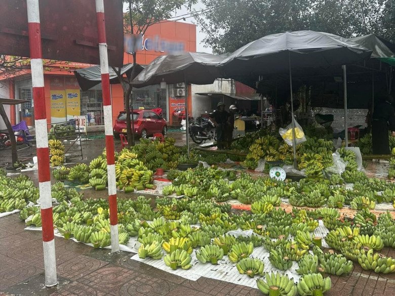 Không chỉ đào, quất, mai mà chuối được thương lái buôn về vẫn còn tràn ngập thị trường. Thay vì giá cao ngất ngưởng như mọi năm, thời điểm này giá chuối chỉ còn 40-80 nghìn đồng/nải. Dọc tuyến đường ở thành phố Hà Tĩnh, nhiều vị trí bán chuối nhưng vẫn ế ẩm.