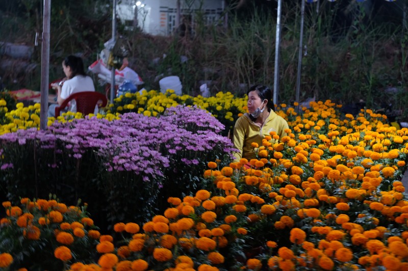 Ở những khu chợ tại Đồng Tháp, đã từng có những ánh mắt ngóng trông bà con đến mua  hoa trong những ngày giáp Tết.
