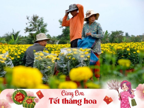Ngắm khung cảnh tại nhà vườn hoa miền Tây những ngày Tết