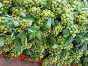Tiêu dùng - Loại quả trồng làm cảnh, nay thành đặc sản được ưa chuộng, 250.000 đồng/kg xuất hiện trên mâm ngũ quả Tết