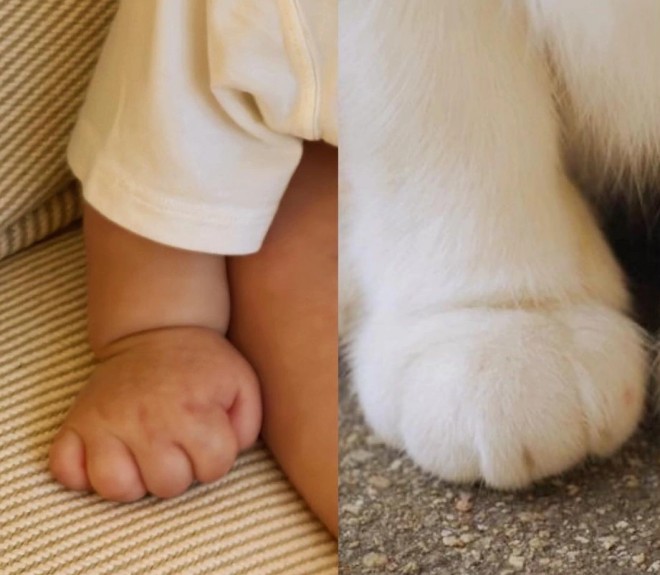 Hình ảnh hiếm hoi của quý tử được vợ chồng cặp đôi Hạ cánh nơi anh chia sẻ.