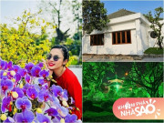Nhà đẹp - Việt Trinh để lộ cơ ngơi đẹp như resort ở Bình Dương, khu vườn tựa chốn bồng lai tiên cảnh