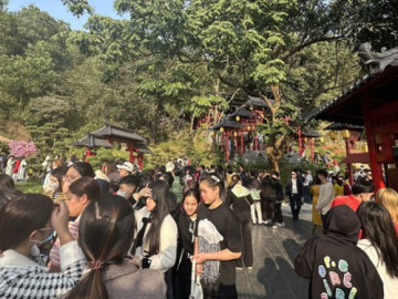 Biển người chen chân đổ về chùa Cây Thị du xuân đầu năm