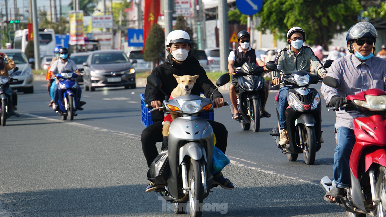 Chú chó cùng chủ trên đường trở lại TP.HCM làm việc. Ảnh: Hòa Hội