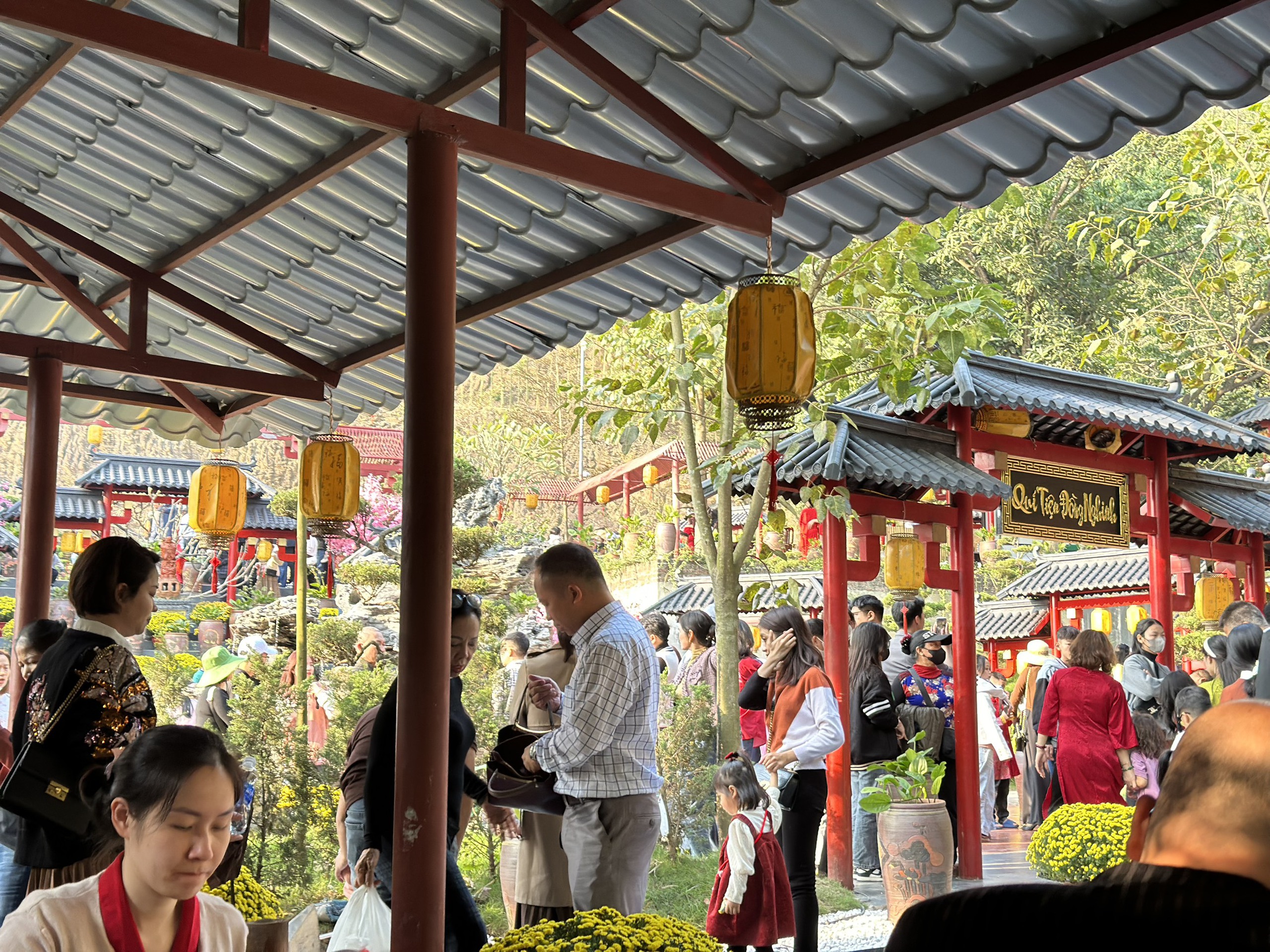 Biển người chen chân đổ về chùa Cây Thị du xuân đầu năm - 8