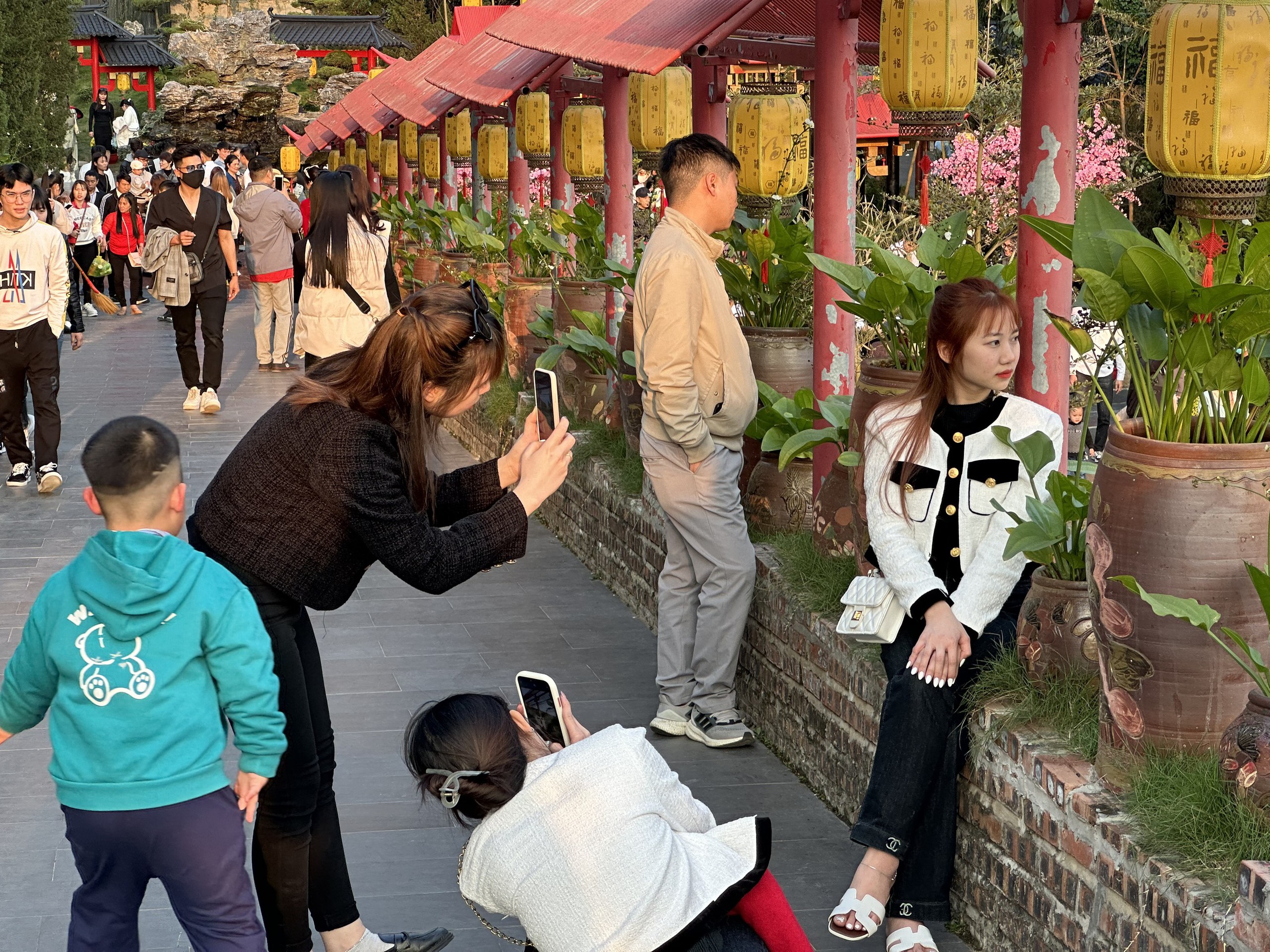 Du khách check in du xuân đầu năm tại chùa Cây Thị