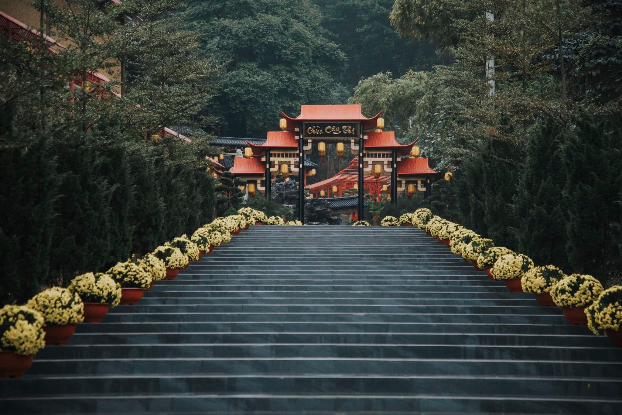 Biển người chen chân đổ về chùa Cây Thị du xuân đầu năm - 17