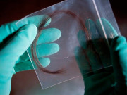 Tin tức - Xét nghiệm ADN cho vui, người phụ nữ chết lặng khi biết sự thật về bố ruột và bạn trai cũ