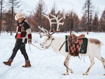 Xuất hành đầu năm: Xuyên rừng tuyết, đến làng nuôi tuần lộc tách biệt với thế giới