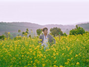 Lifestyle - Loài hoa "hot" nhất Đà Lạt hiện tại, ai ghé cũng "săn" bằng được vì chỉ nở rộ trong 10 ngày