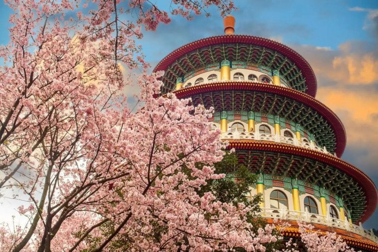 Top 5 địa điểm để bạn tận hưởng trọn vẹn mùa hoa anh đào lãng mạn - 5