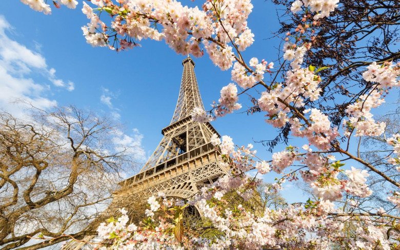 Top 5 địa điểm để bạn tận hưởng trọn vẹn mùa hoa anh đào lãng mạn - 7