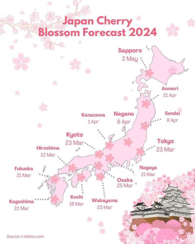 Lịch dự báo hoa nở ở Nhật Bản năm 2024.