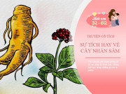 Nuôi con IQ EQ - Truyện cổ tích: Sự tích cây Nhân Sâm