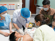 Sức khỏe - Bé trai 7 tuổi bị chó cắn thủng ruột khi đi chúc Tết