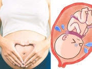 Bà bầu - Giải đáp 10 thắc mắc về dây rốn quấn cổ khi mang thai của hầu hết mẹ bầu
