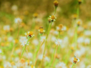 Eva tám - Phong cảnh đẹp nhất trên đời là tâm trạng của chính bạn