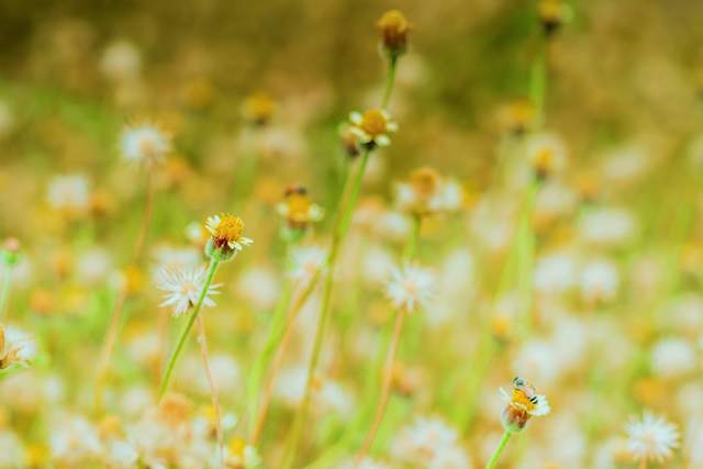 Phong cảnh đẹp nhất trên đời là tâm trạng của chính bạn - 3