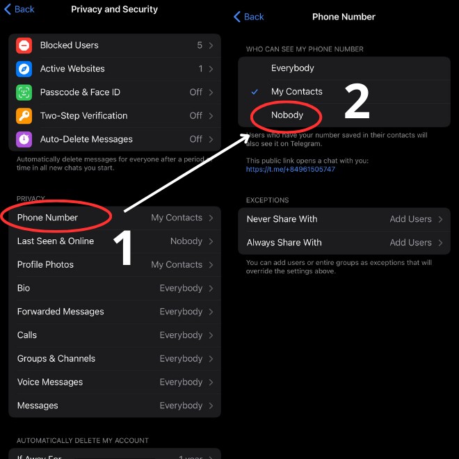 Image of the "Privacy" settings in Telegram, with the "Phone Number" option set to "Nobody."