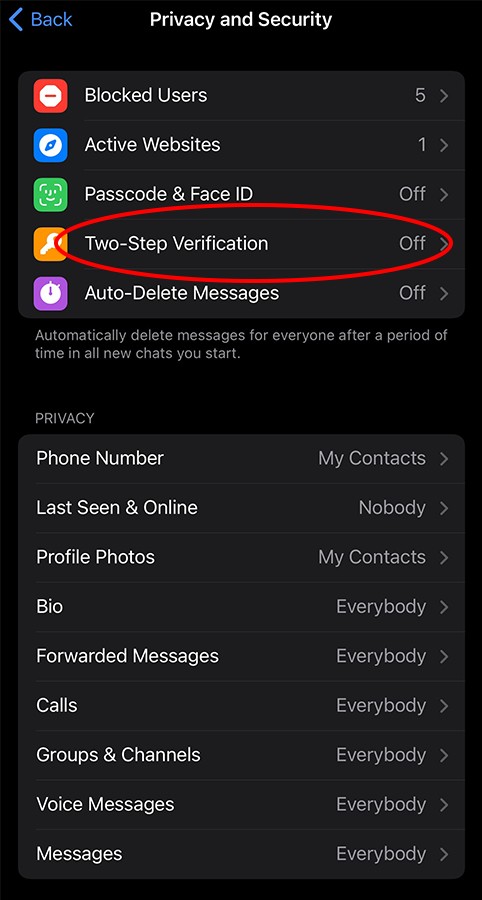 Image of the "Two-Step Verification" option within Telegram settings.