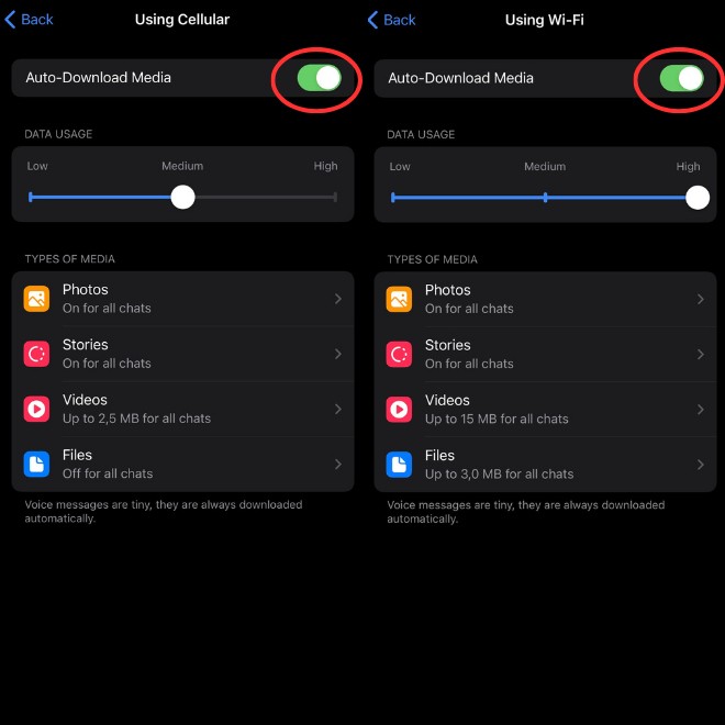 Image of the "Automatic Media Download" settings, with "Using Cellular" and "Using Wi-Fi" options highlighted.