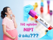 Bà bầu - Tất tần tật về xét nghiệm NIPT sàng lọc dị tật thai nhi và những lý do mẹ bầu nên làm
