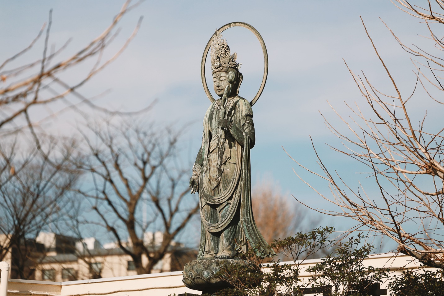 Đầu xuân, cầu an tại ngôi chùa 1.400 năm tuổi ở Tokyo - 11