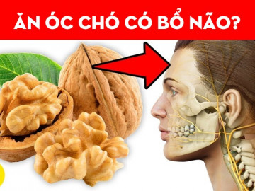 Ăn quả óc chó có bổ não không? Nên ăn bao nhiêu quả để người trẻ thông minh, người già cải thiện trí nhớ?